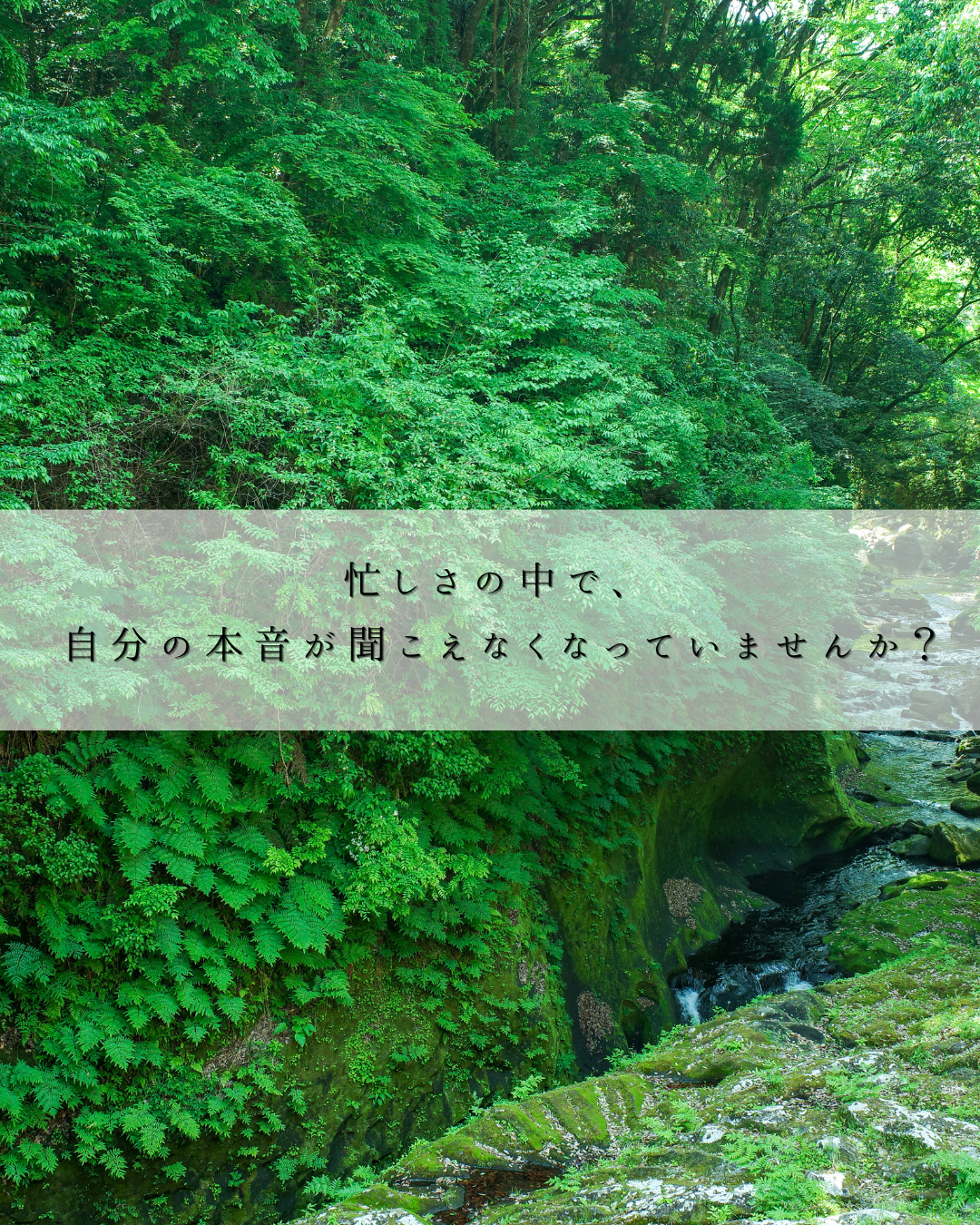 忙しさの中で、自分の本音が聞こえなくなっていませんか？