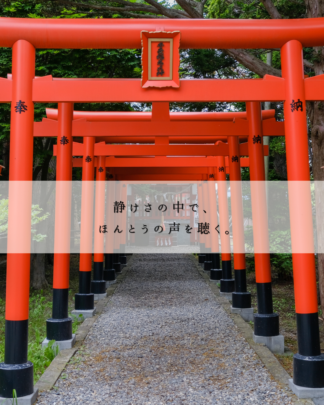 静けさの中で、ほんとうの声を聴く。